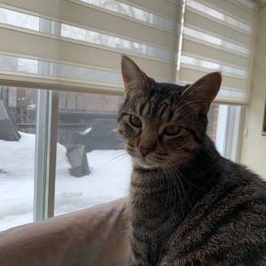 Meet your Posher, Beth